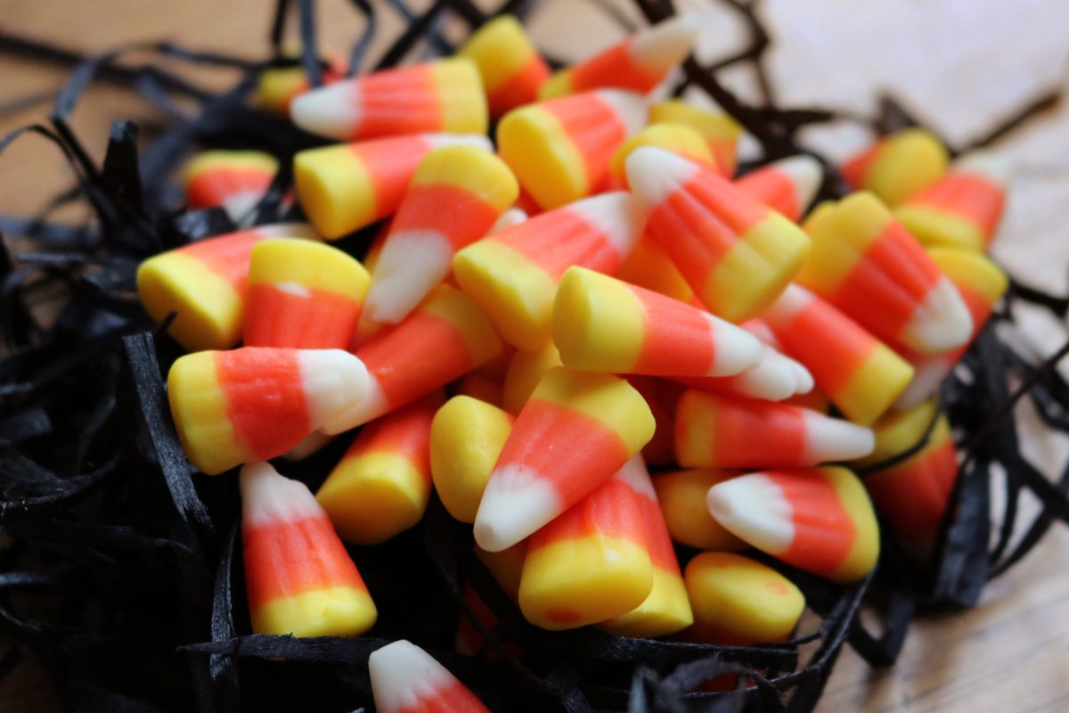 Shane-Confectionery_Candy-Corn-2048x1386